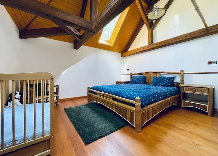 Hunter's Oliver Villa Krimov